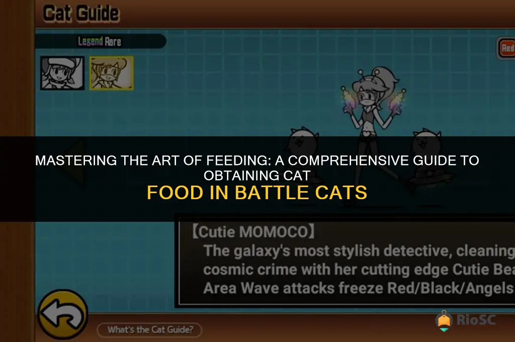 battle cats best way to get cat food