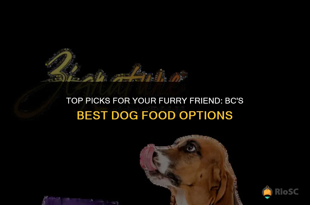 bc best dog food