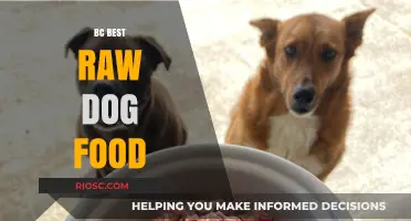 Unleashing Nutrition: BC's Premier Raw Dog Food Options for Optimal Canine Health