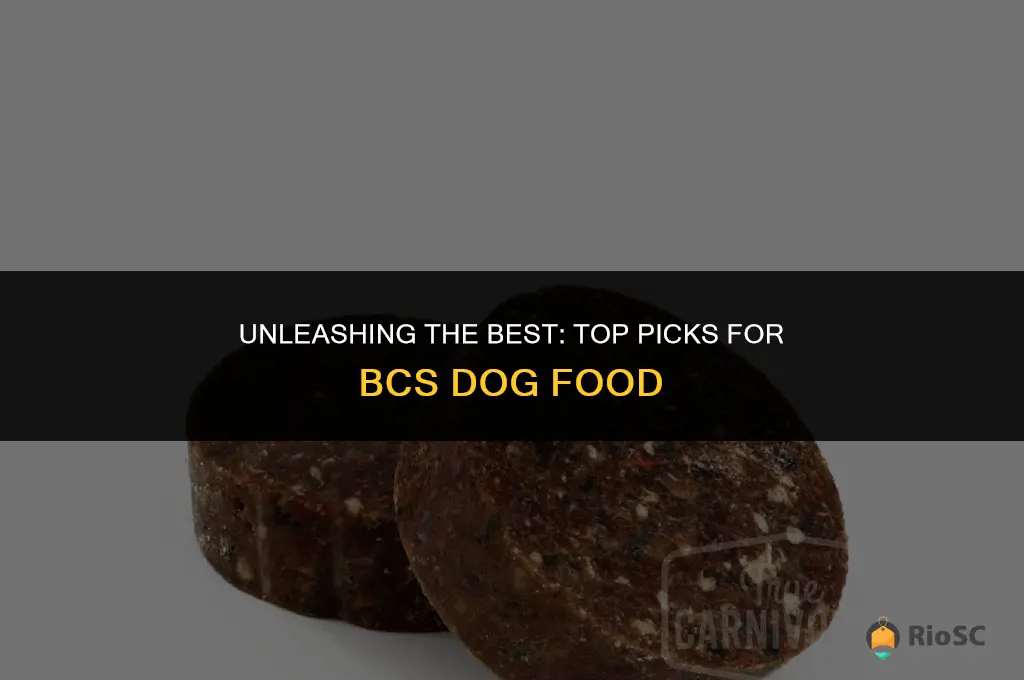bcs best dog food