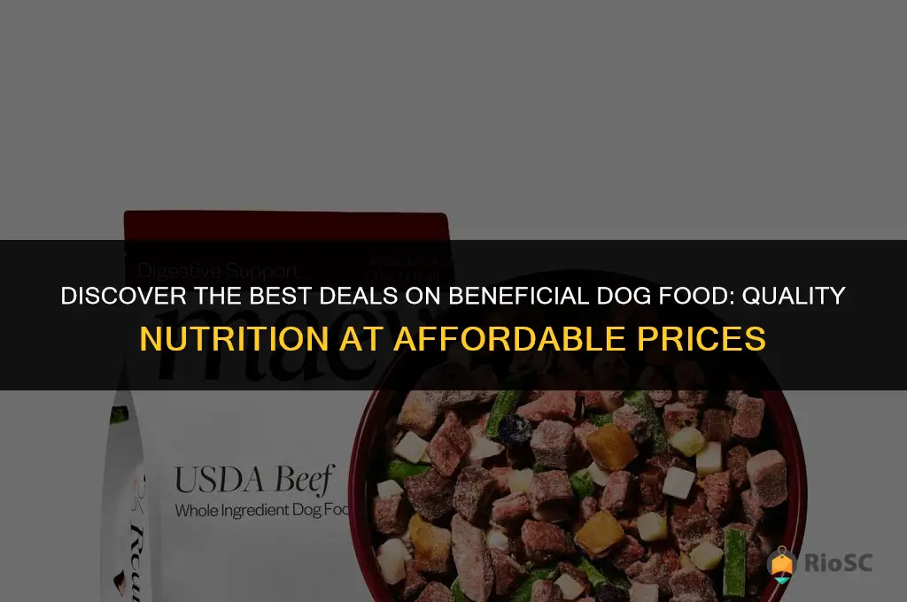 beneful dog food best price