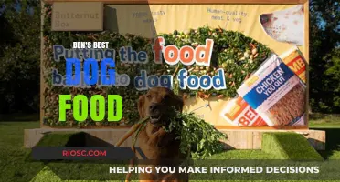Ben's Best Dog Food: Top Picks for a Healthy and Happy Canine Companion