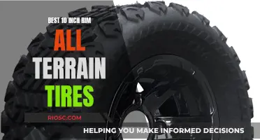 Rugged Rollers: Top All-Terrain Tires for 10-Inch Rims