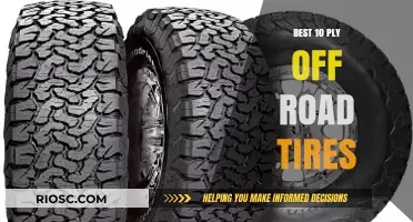 Top-Rated 10-Ply Off-Road Tires: Ultimate Durability and Performance for Extreme Terrain