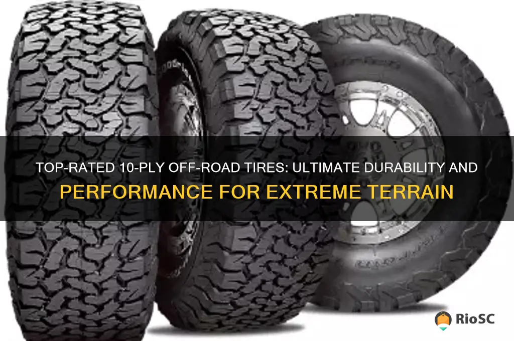 best 10 ply off road tires