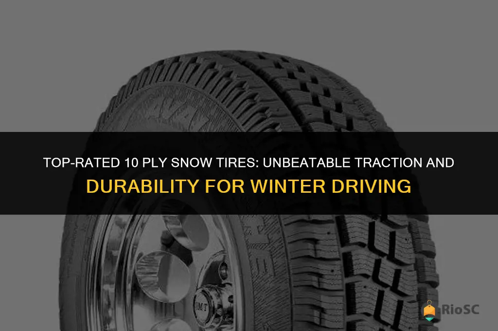 best 10 ply snow tires