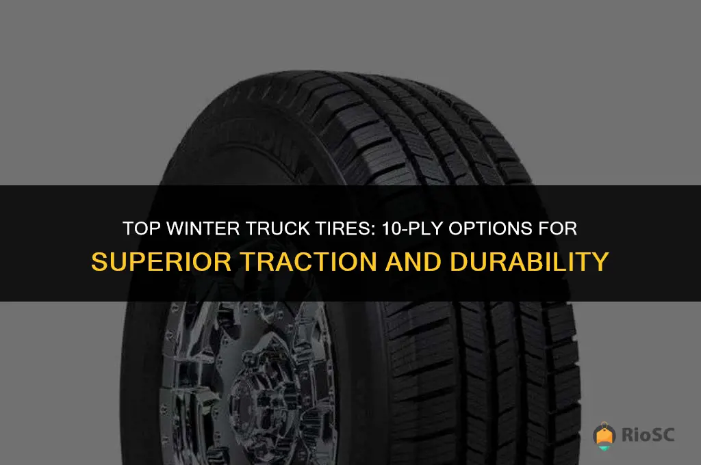 best 10 ply winter truck tires