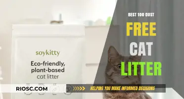 Top Dust-Free Cat Litter Options: 100 Best Picks for a Cleaner Home