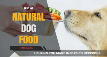 Top Natural Dog Food Picks: A Comprehensive Guide to the Best 100 Options