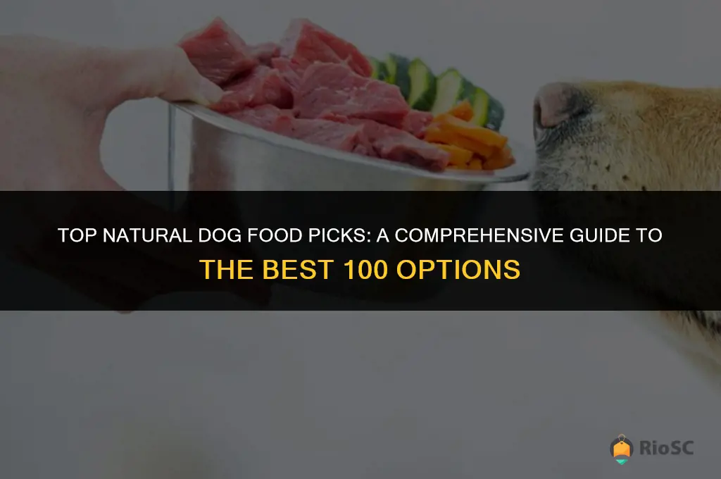 best 100 natural dog food