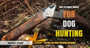Top 12 Gauge Shells for Dog Hunting: Enhance Your Upland Bird Hunting Experience