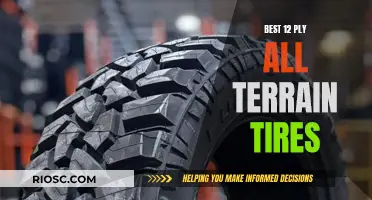 Rugged Reliability: 12-Ply All-Terrain Tires Put to the Test