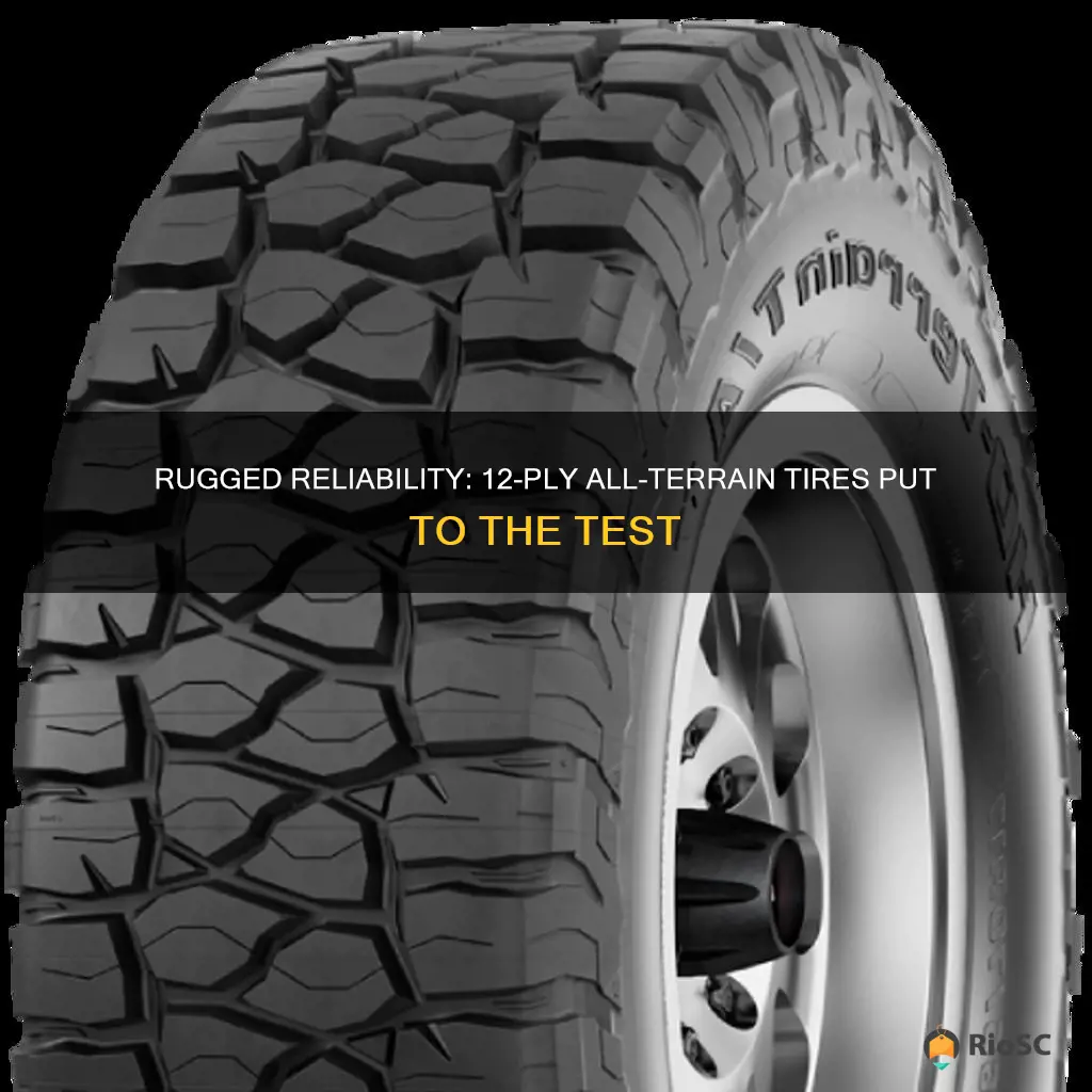 best 12 ply all terrain tires