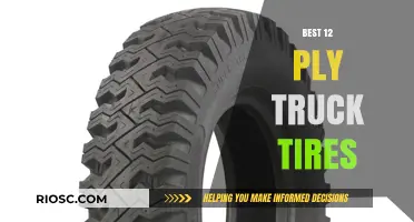 Top-Rated 12 Ply Truck Tires: Ultimate Durability and Performance for Heavy-Duty Vehicles