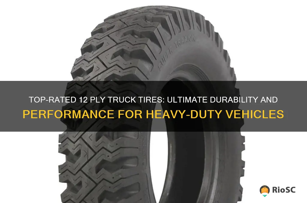 best 12 ply truck tires