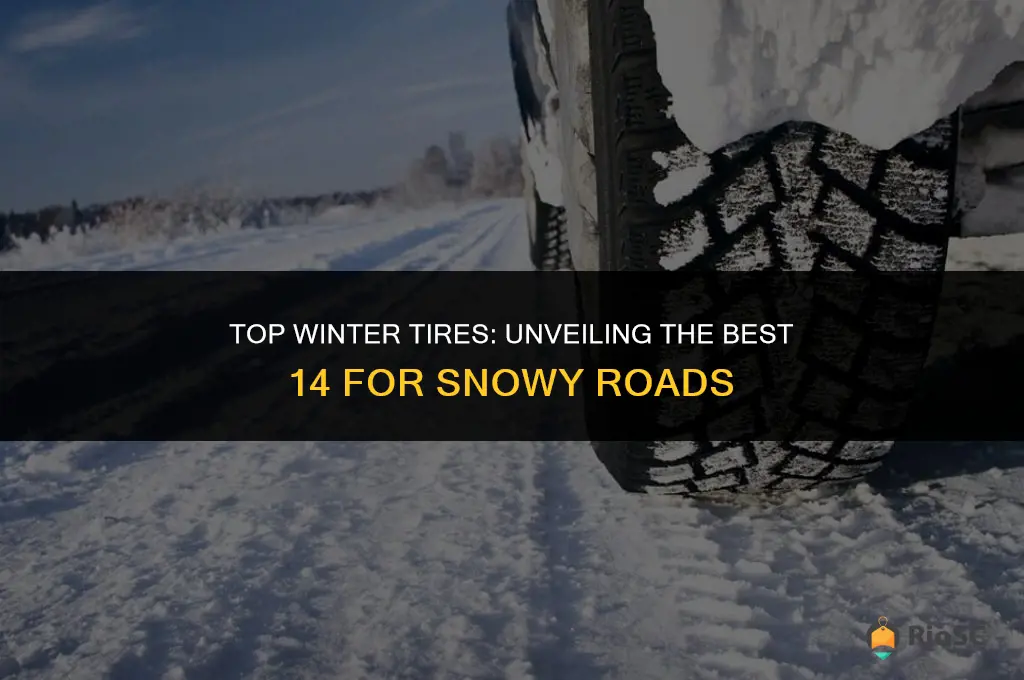 best 14 winter tires