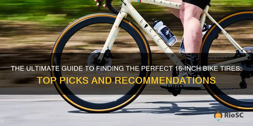 best 16 bike tires