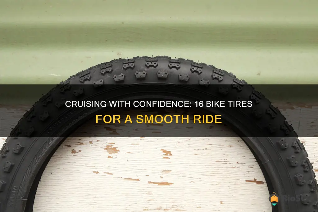 best 16 bike tires