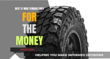 Mud-Slinging Money Savers: Discover the Top 17 Mud Terrain Tires that Won't Break the Bank