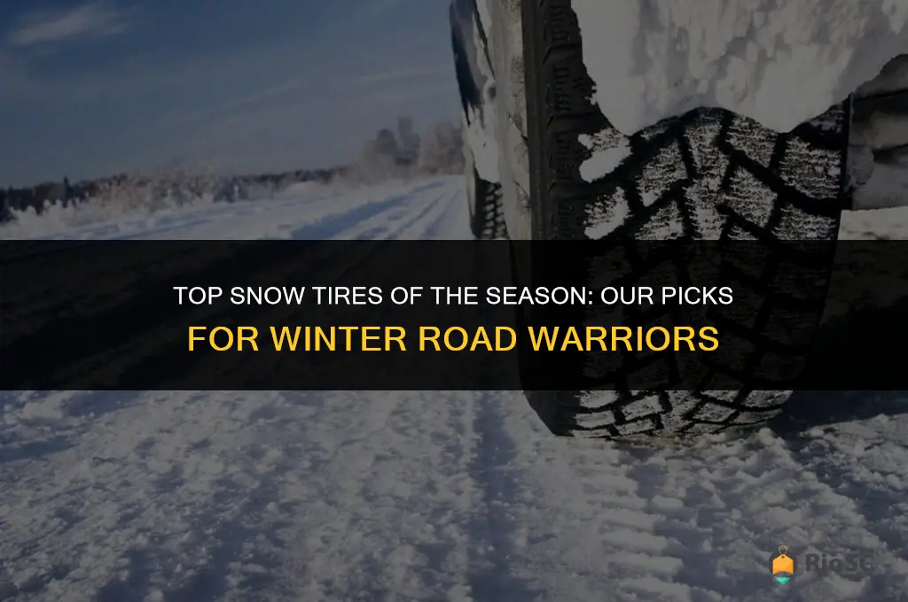 best 17 snow tires