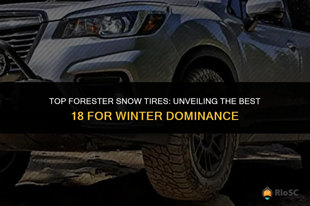 best 18 forester snow tires