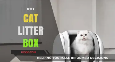Top Picks for Cat Owners: The Best 2 Cat Litter Boxes for a Clean and Happy Home