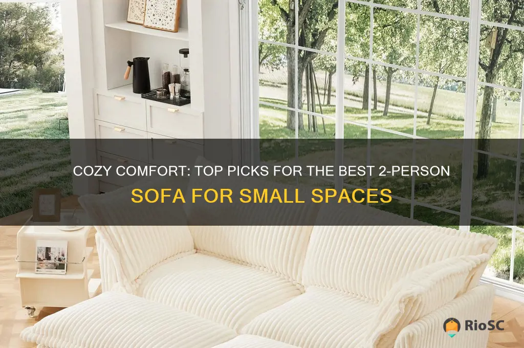 best 2 person sofa