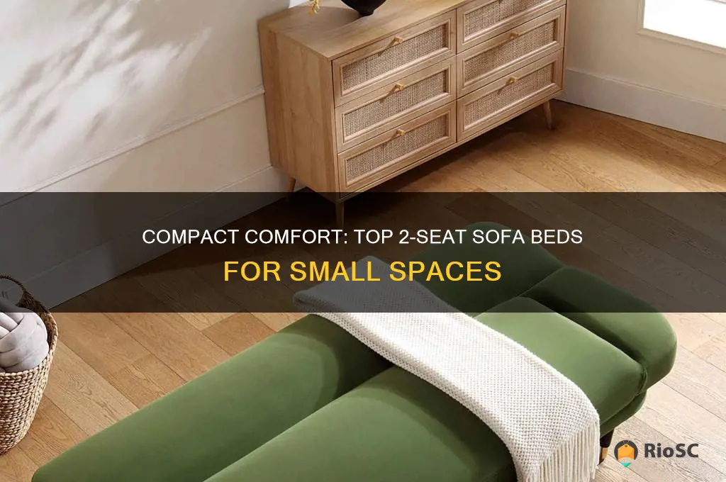 best 2 seat sofa bed