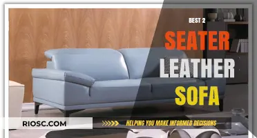 Luxurious Comfort: Top Picks for the Best 2-Seater Leather Sofas