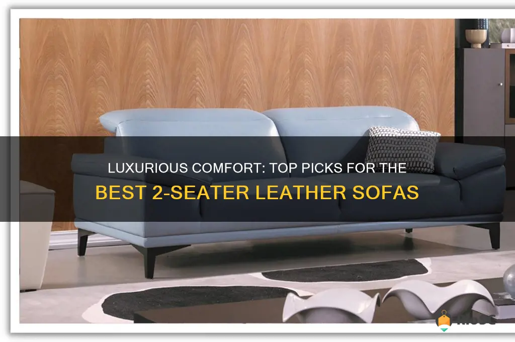 best 2 seater leather sofa