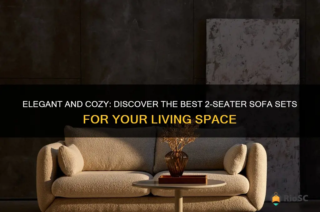 best 2 seater sofa set