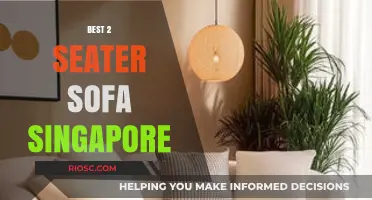 Top Picks for Stylish and Comfortable 2-Seater Sofas in Singapore