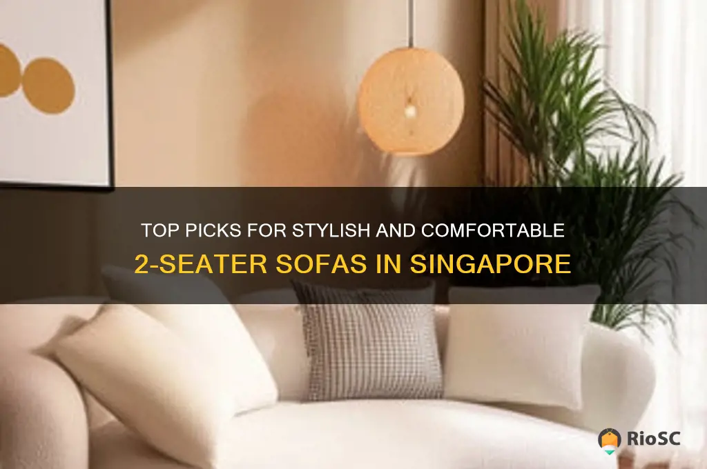 best 2 seater sofa singapore