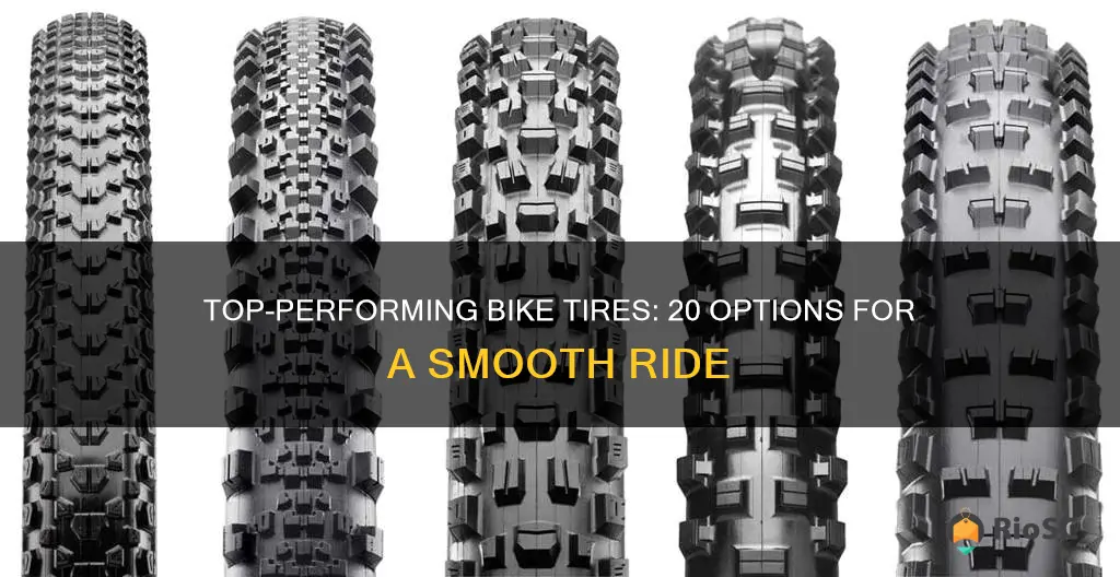 best 20 bike tires