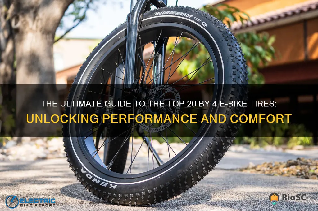 best 20 by 4 e bike tires