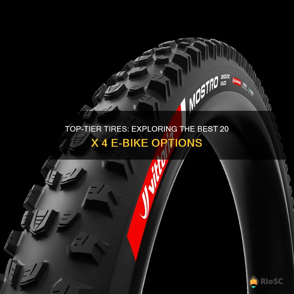 best 20 by 4 e bike tires