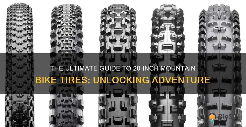 best 20 inch mountain bike tires