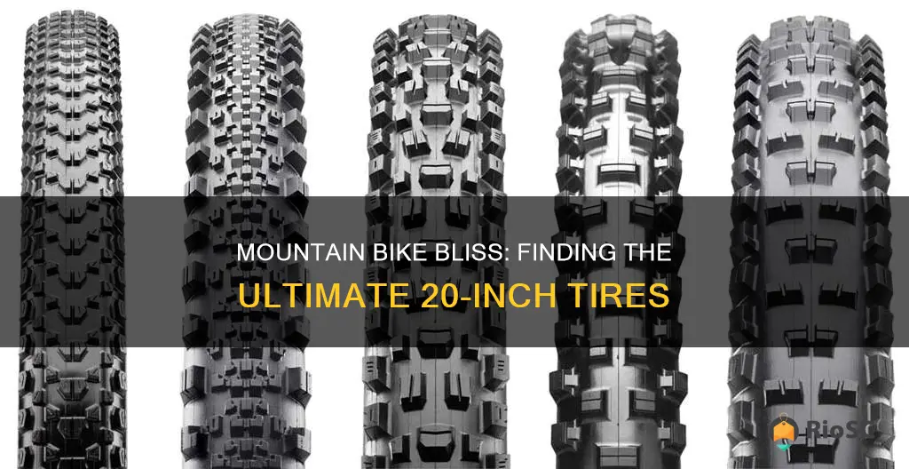 best 20 inch mountain bike tires