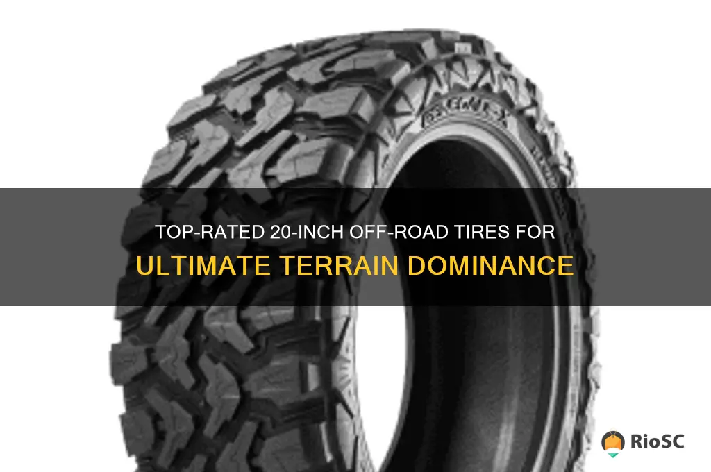 best 20 inch off road tires