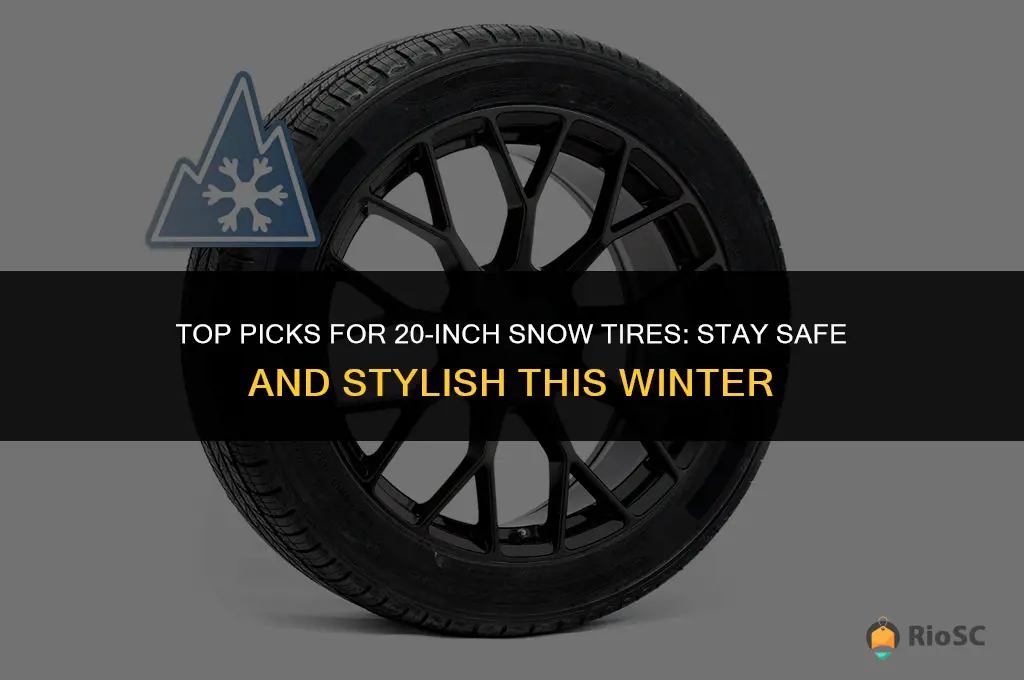 best 20 inch snow tires