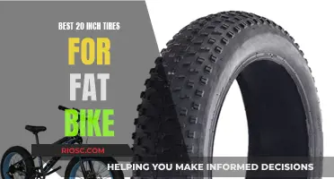 Unleash the Power: Top 20-Inch Tires for Fat Bikes