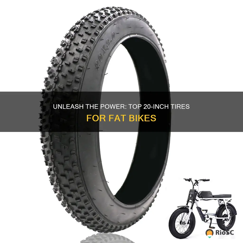 best 20 inch tires for fat bike