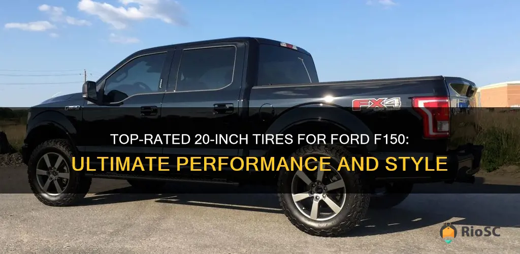 best 20 inch tires for ford f150