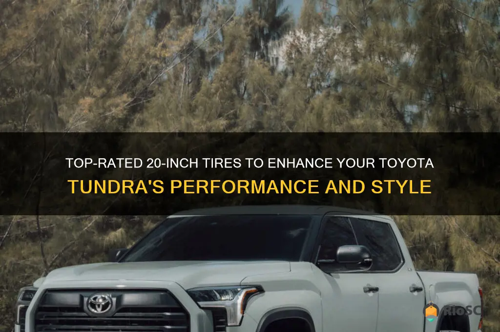 best 20 inch tires for toyota tundra