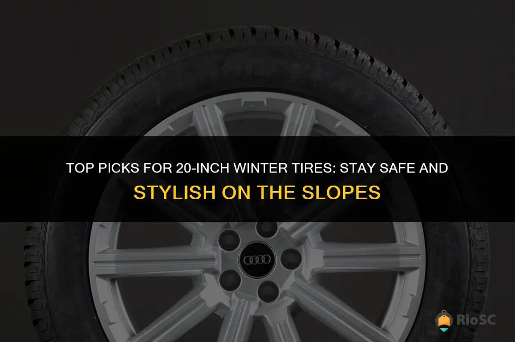 best 20 inch winter tires