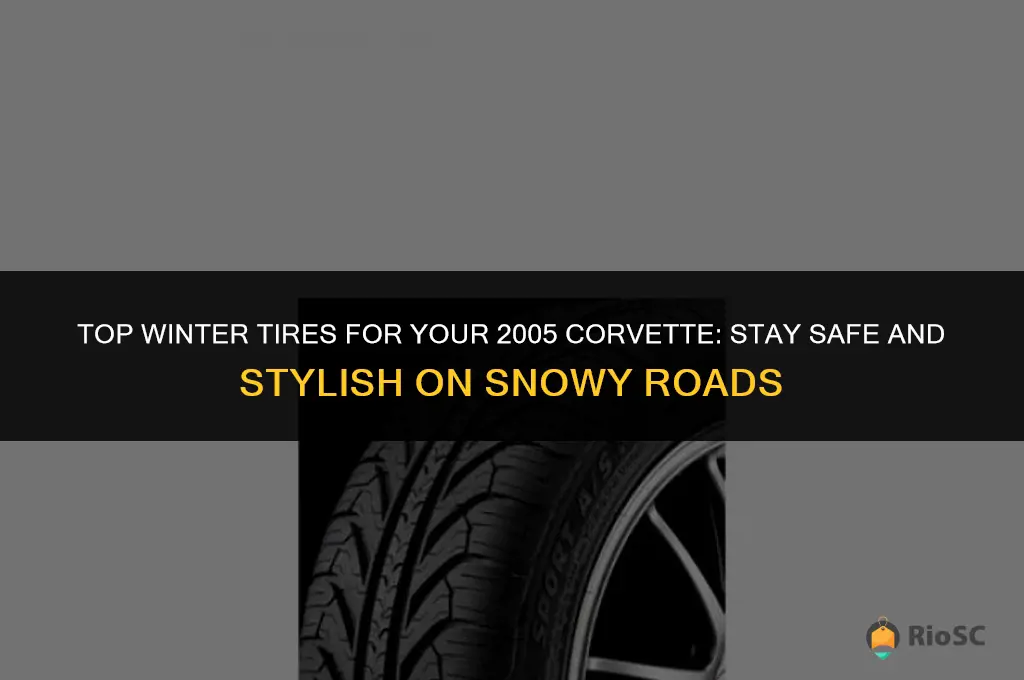 best 2005 corvette winter tires