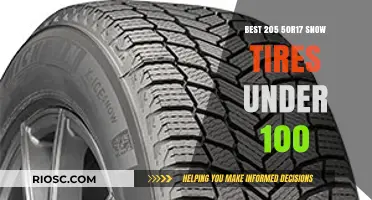 Top Affordable Snow Tires: 205 50r17 Options Under $100