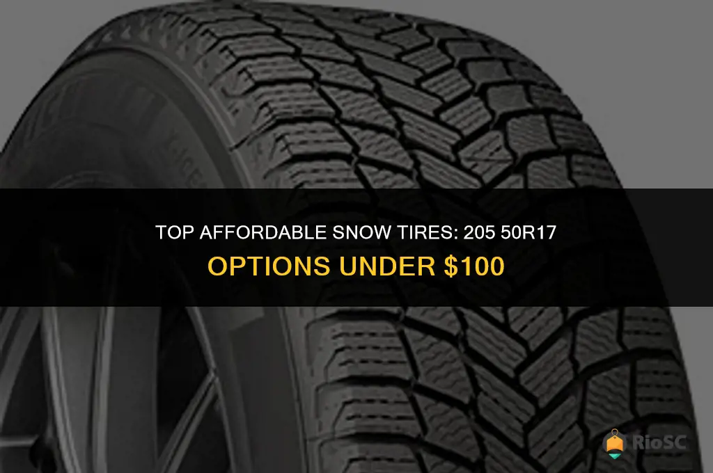 best 205 50r17 snow tires under 100
