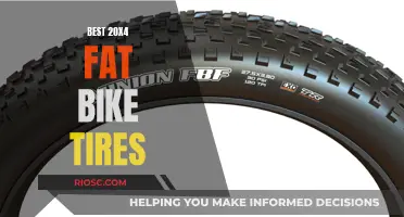 The Ultimate Guide to Fat Bike Tires: Unlocking Adventure on Snow and Mud