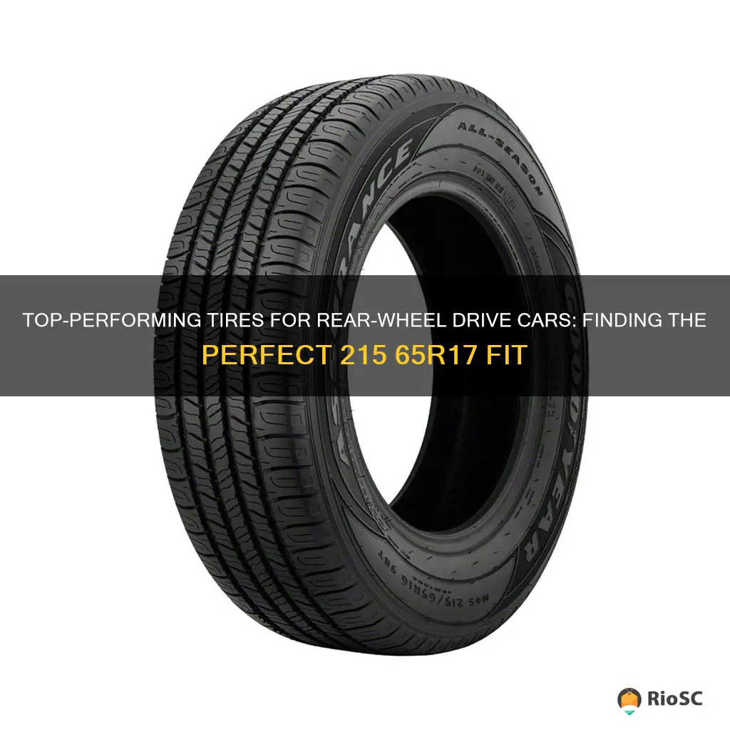 best 215 65r17 tires for rear wheel drive cars